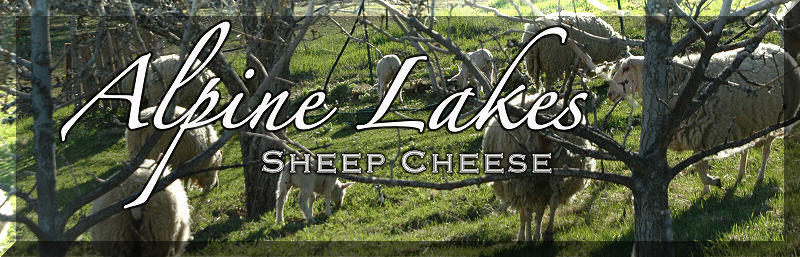 Alpine Lakes Sheep Cheese in Leavenworth Washington.