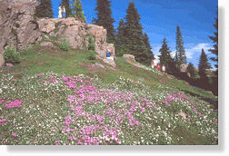 Catus Point at the beautiful Ohme Gardens, Wenatchee, WA